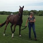 Sandy Ackerman - @sandyshorse7 - Instagram