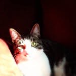 Sandy Ackerman - @sandy_ackerman - Instagram