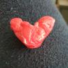 sandyackermann4321 - @sandyackermann4321 - TikTok