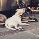 Sandy Acton Zurek - @sandyactonzurek - Instagram