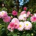 Sandy Adair - Facebook