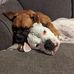 Sandy Claspill Adair - Facebook
