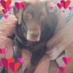 Sandy Zerden Adkins - @sandyadkins1 - Instagram
