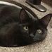 Sandy Agee - Facebook