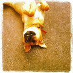 Sandy Agee DeHart - @dehart.sandy - Instagram