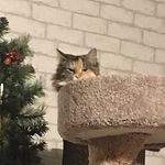 Sandy Akers - @akers_sandyclint - Instagram