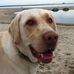 Sandy Albrecht - Facebook