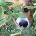 Sandy Albrecht - Facebook