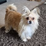 Sandy Alders - @sandy.alders - Instagram