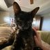 Sandy Aldrich - Facebook