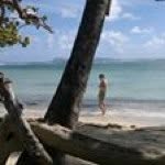 Sandy Aldrich - @sandyteeman - Instagram