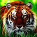 Sandy J Aldrich - Facebook