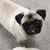 Sandy Alejo - @sandy.alejo41 - TikTok