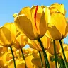 SANDY ALEMAN - @sandyaleman5 - TikTok
