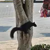 Sandy Aleman - @sandy.aleman8 - TikTok