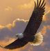 Sandy Allan - Facebook
