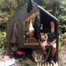 Sandy Allan - Facebook