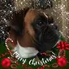 Sandy Allison826 - @sandyallison57 - TikTok