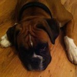 Sandy Allison - @57sandy57 - Instagram