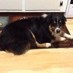 Sandy Allison - @allison.sandy - Instagram