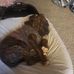 Sandy Allison - Facebook