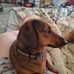 Sandra Allnutt - Facebook