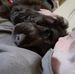 Sandra Allnutt - Facebook