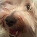 Sandra Allnutt - Facebook