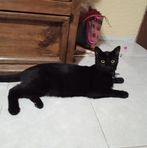 Sandy Alonso - Facebook