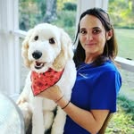 Sandy Ambrose - @dogs_ambrose - Instagram