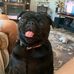 Sandy Ambrose - Facebook