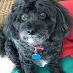 Sandy Andersen - @dennisandersen60 - Instagram