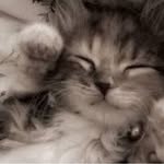 Sandy Andersen - @sandyandersen28 - Instagram