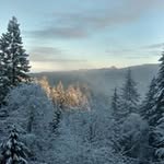 Sandy Andersen - @s.j.andersen - Instagram