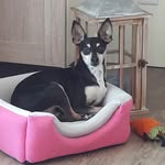 Sandy Andreas - @sandy.kammann - Instagram