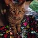Sandy Andrus - Facebook