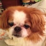 Sandra Anspach - @sandy_alex01 - Instagram