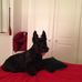 Sandy Archer - Facebook