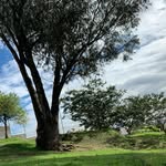 Sandy Arellano - @sandy.arellano794 - Instagram