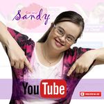 Sandy Arend - @sandy_plena - Instagram