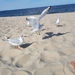 Sandy Arndt - @sandy.arndt.1979 - Instagram