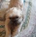 Sandy Arndt - Facebook