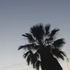 Sandy Arroyo - @sandy.arroyo1 - TikTok