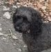 Sandra Ault - Facebook