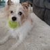 Sandy J. Ault - Facebook