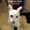 Sandy Baez 🌝✈️ - @sandy.baez0 - TikTok