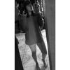 user513296490066 - @sandybaez04 - TikTok
