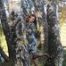Sandy Barnhill - Facebook