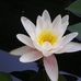Sandy Barnhill - Facebook