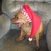 Sandy Batson - Facebook